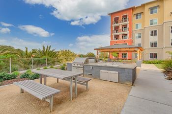 Amenities- outdoor kitchen and grilling area