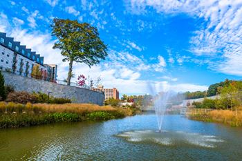 Neighborhood- minutes to beautiful historic fourth ward park