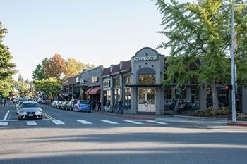 Neighborhood-close to peter kirk park