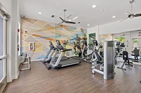 San Jose apartment for rent - Fitness Center at Pavona Apartments, San Jose, California