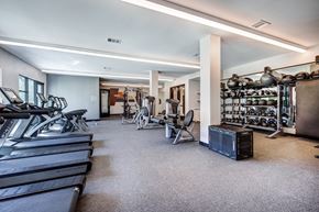 Austin apartment for rent - State Of The Art Fitness Center at Windsor South Congress, Austin, 78745