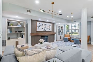 Leesburg apartment for rent - A modern living room with a fireplace and a large painting above it.