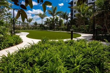Courtyard garden space