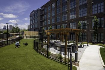 Pet park