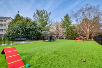 Pet park