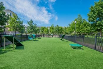 Community dog park