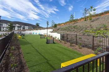 Community dog park