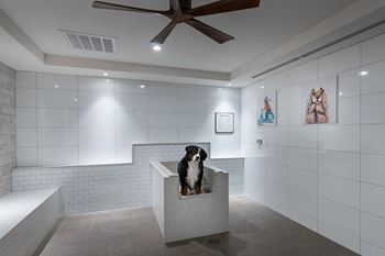 Pet spa