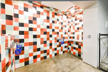 Pet wash