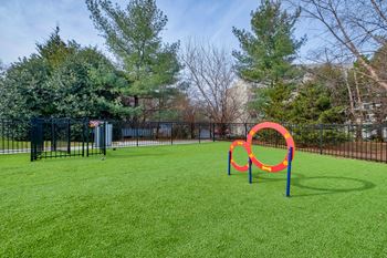 Pet park