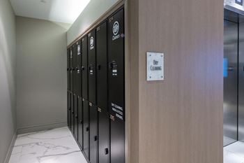 Amenities-dry cleaning
