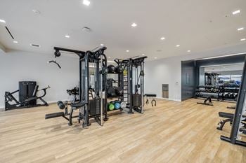 Free weights