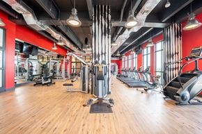 Miami apartment for rent - Fitness Center with hardwood floors and a red wallat Windsor Ludlam Trail in Miami, FL.