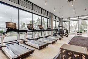 Kirkland apartment for rent - Cardio Machinesat Windsor Totem Lake, Kirkland, Washington