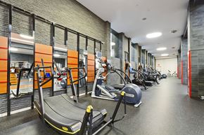 New York apartment for rent - A gym with treadmills and exercise bikes.