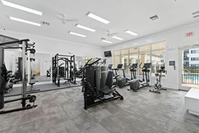 Miami apartment for rent - a gym with weights and cardio equipment in a building
