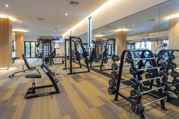Modern fitness center with cardio machines