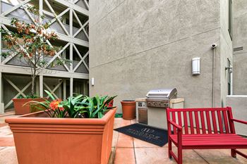 Amenities- courtyard and barbeque area