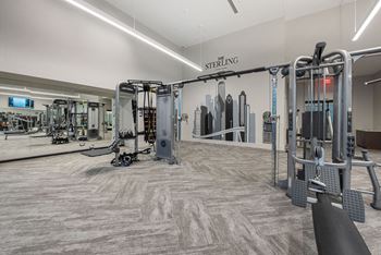 A gym with weights and cardio equipment on the floor and a wall with a mural