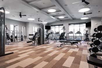 State-of-the-art fitness club