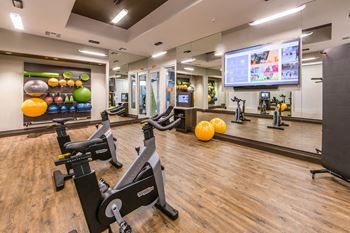 Peloton bike and training space