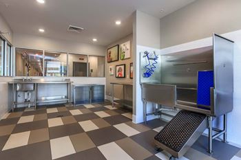 Pet spa with dog washing and grooming station