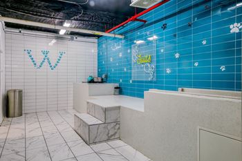 Pet spa