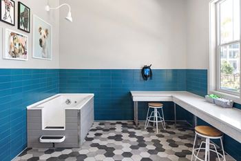Pet-friendly community with pet spa and dog park