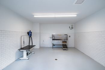 Pet spa at windsor ludlam trail in miami, fl.