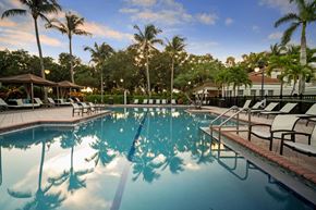 Miramar apartment for rent - A pool surrounded by palm trees and lounge chairs at Windsor at Miramar, 3701 SW 160th Ave, Miramar, FL 33027.