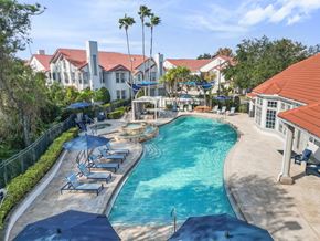 Tampa apartment for rent - A large outdoor swimming pool surrounded by lounge chairs and umbrellas.