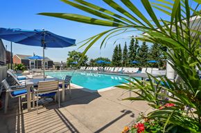 Waltham apartment for rent - our resort style swimming pool is surrounded by patio furniture and umbrellas