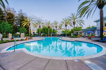 Resort-style swimming pool and jacuzzi