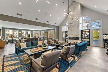 Alexandria apartment for rent - a large living room with couches and chairs and a fireplace
