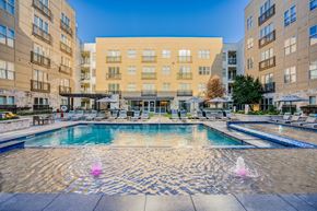 Austin apartment for rent - Resort-style pool and lounge area at Windsor South Lamar, 809 S Lamar Blvd, TX