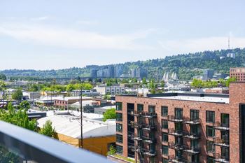 View from roof