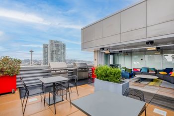 Rooftop garden and dining deck with grills