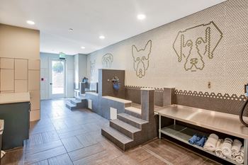 Pet care center and onsite dog park