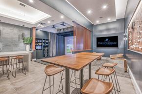 Houston apartment for rent - Lounge area with virtual golf simulator at The Sovereign at Regent Square, 3233 West Dallas, Houston, TX