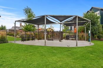 Dog park