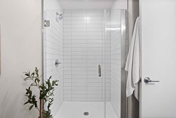 Spa-like bathrooms featuring walk-in showers