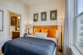 Medford apartment for rent - Bedroom large enough to fit a king or queen sized bed