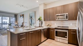 Medford apartment for rent - Our chef-inspired kitchens feature designer finishes and stainless steel appliances at Windsor Mystic River, Medford, Massachusetts