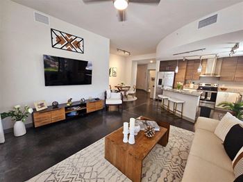 Hardwood-style or stained concrete flooring*