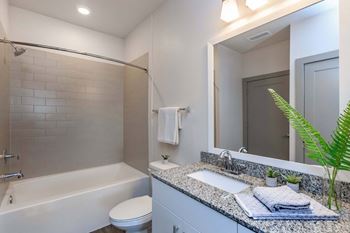 Walk-in shower or soaking tub