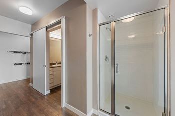 Walk-in shower or soaking tub