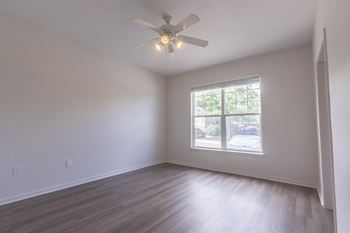 Ceiling fans