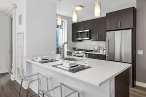 Chicago apartment for rent - Espresso Cabinetry with Glossy White Duotone Option at Moment, Chicago