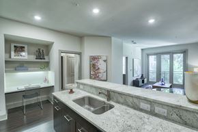 Austin apartment for rent - Wood-Style Flooring in Living Spaces at Windsor South Lamar, Austin, TX