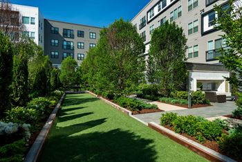 Bocce ball area